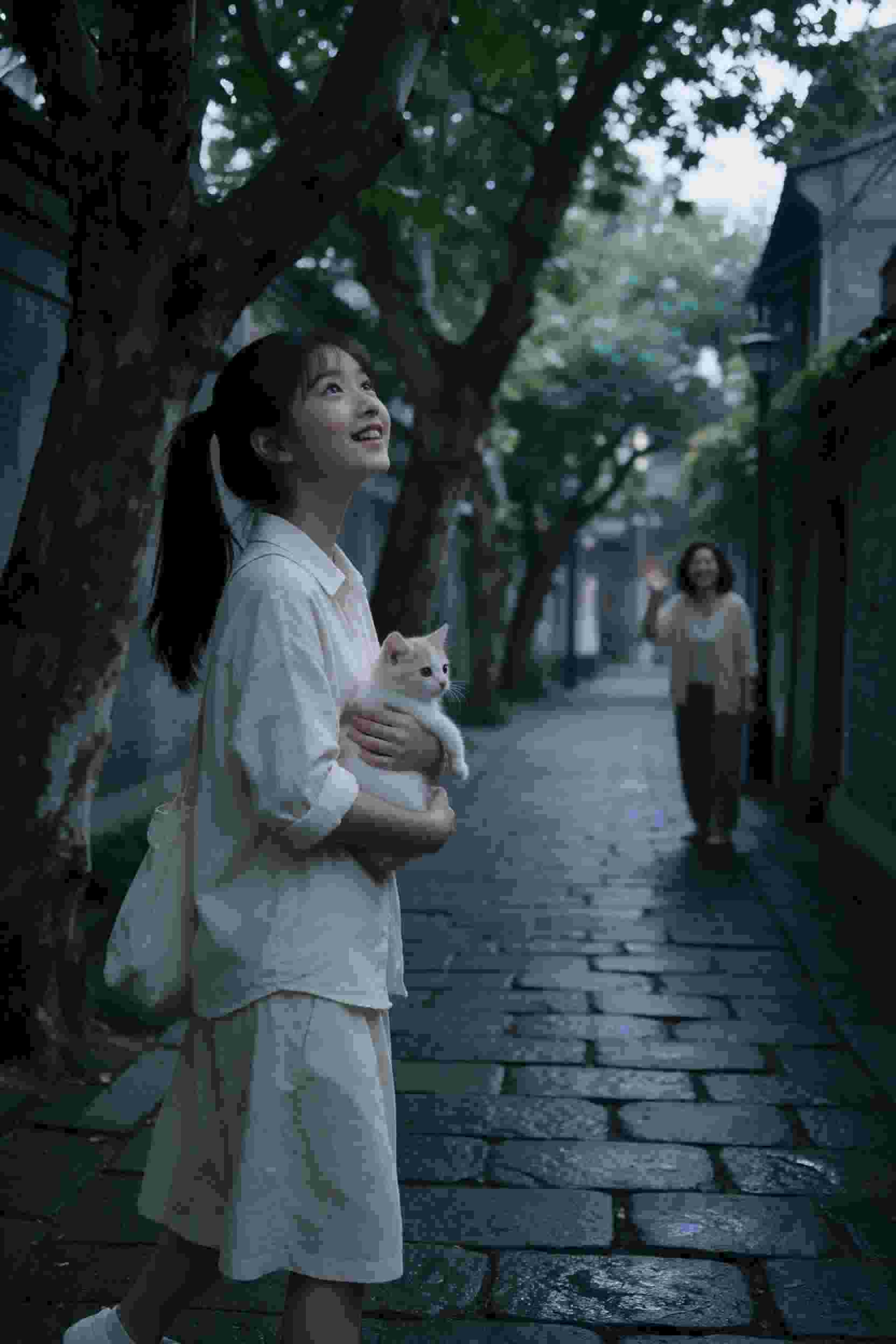 美人计划