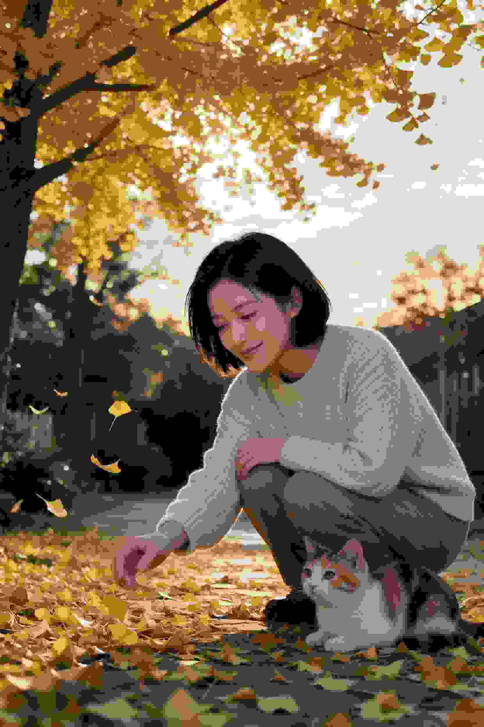 诡异调查所